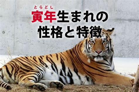 1998年寅年|「寅年・とらどし・とら年」生まれの「平成10年・1998年」の年齢